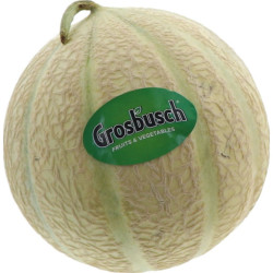 *PRODUIT BLOQUE* MELON CHARENTAIS 11PCS